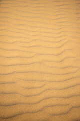 鳥取砂丘の美しい風景Beautiful scenery of Tottori Sand Dunes in Japan