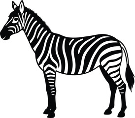 zebra vector illustration