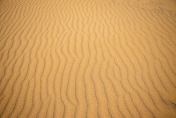 鳥取砂丘の美しい風景Beautiful scenery of Tottori Sand Dunes in Japan