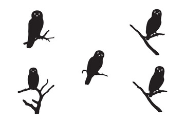 set of setting birds Silhouette vector illustration white background.
