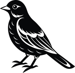 bird on a branch