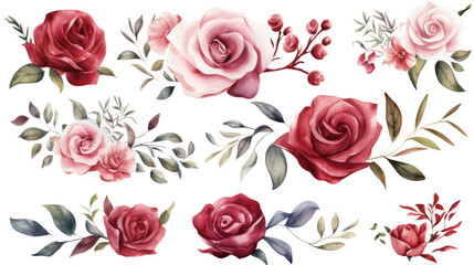 Set of watercolor rose painting isolated on clear png background and transparent background. Fresh and nature concept for nature decorative and flower element, AI generative.