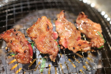 黒毛和牛焼肉（ハラミ）