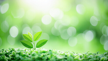 新緑の葉っぱと木漏れ日,Generative AI ,AI画像