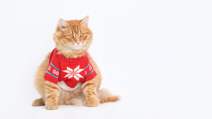 Santa cat in Christmas festive outfit on a white background. Merry Christmas. Xmas Greeting card. copy space. Beautiful Winter Holiday postcard. ginger cat. Happy New Year. Holiday theme