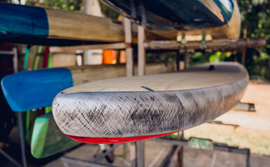 A variety of surfboards are neatly displayed on a stand