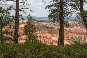 View on rock formations Bryce Canyon National Park, Utah - USA