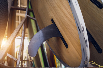 A variety of surfboards are neatly displayed on a stand