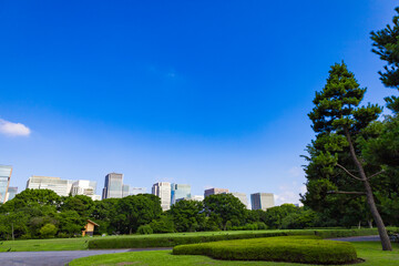 皇居東御苑・江戸城跡の公園の木々越しに見える、都会・丸ノ内・大手町・日比谷のビル（東京都千代田区）