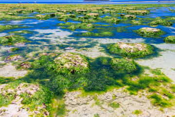 View of the Indian ocean at low tide, Zanzibar, Tanzania