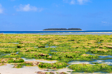 View of the Indian ocean at low tide, Zanzibar, Tanzania