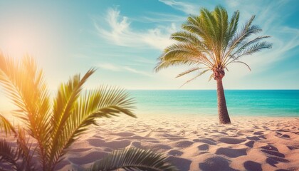 summer tropical pastel background with palm