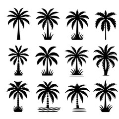 Palm tree set vector illustration isolated on white background