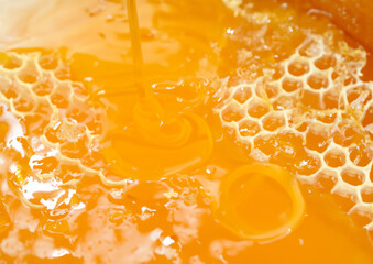 honey and honeycomb