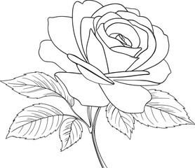 Hand-Drawn Flat Design Simple Flower Outlines and Vector Illustrations: Clean Line Art of Single Rose Bloom with Detailed Petals and Leaves