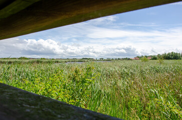 Rund um den Leuchtturm Pilsum