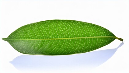 Obraz premium Title suggestions