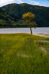 lake and mountains