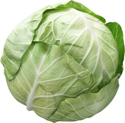 Fototapeta premium fresh green cabbage, isolated on transparent background - vegetable, salad ingredient, healthy eating, food photography.