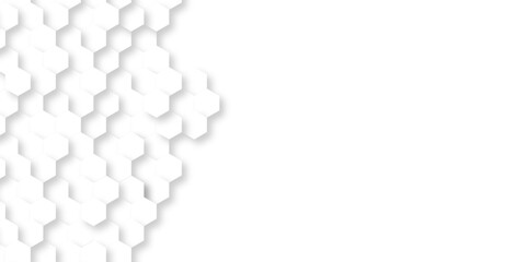 Abstract background with hexagon, modern abstract vector polygonal pattern. Futuristic abstract honeycomb technology white background. Luxury white hexagon pattern.