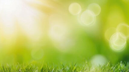 Obraz premium Eco-Friendly Product Display Background