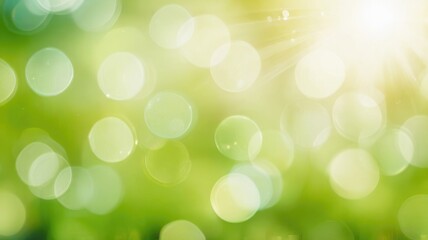 Obraz premium Serene Green Blurred Background with Focused Shelf