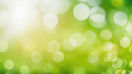 Obraz premium Calm Nature Bokeh for Wellness Branding