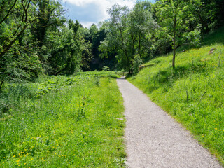 Obraz premium Serene dirt path through lush green park on a sunny summer day with clear blue sky.