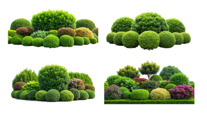 Four types of bushes and trees in various shapes tall and slender, short and round, bushy and wide, and spiky and irregular.