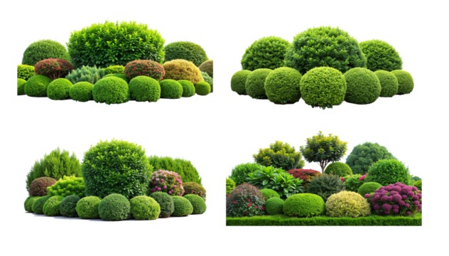 Four types of bushes and trees in various shapes tall and slender, short and round, bushy and wide, and spiky and irregular.