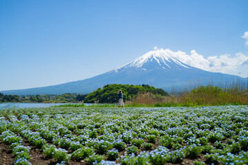 大石公園から見える富士山と河口湖