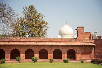 Fototapeta premium 人生で一度は行ってみたいタージマハルのとても美しい風景The beautiful scenery of the Taj Mahal that you should visit at least once in your life