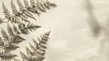 Naklejka premium A close-up image of dried fern fronds arranged on a white surface, with natural light illuminating the scene