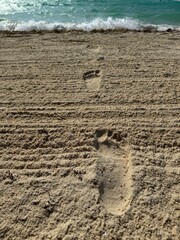 Footprints in the sand that lead to the sea.
