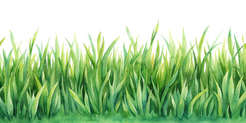 Obraz premium Watercolor painting of lush green grass, vibrant and detailed. Vibrant watercolor illustration of lush green grass, realistic and vivid.