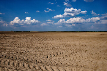 Empty agricultural land with patterned soil and clouds above.