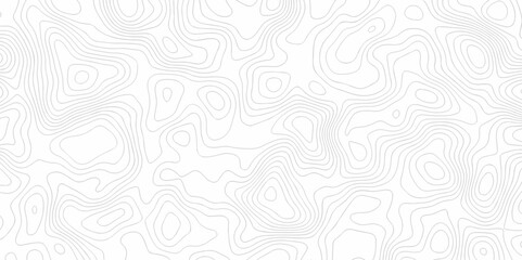 White wave paper curved reliefs abstract background. The topographic map contour in lines isolated. Abstract white topographic map background with lines. Background of the topography map.