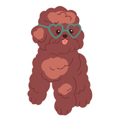 Cute funny Toy Poodle, little dog wearing heart glasses. Happy miniature doggy, amusing small puppy with tongue out. Pup with fluffy hair. Flat graphic illustration isolated on white background