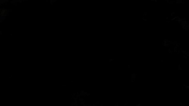 金屏風に墨汁がにじむ映像