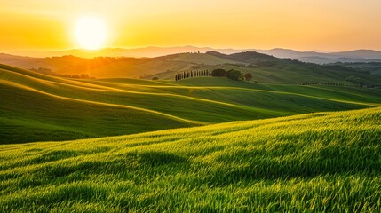 Fototapeta premium Stunning sunrise over rolling green hills and lush fields. Beautiful nature landscape at dawn with vibrant colors. Perfect for background, wallpaper, and inspirational content. AI