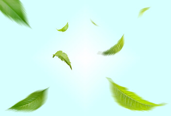Green leaves are falling down on a blue background.
