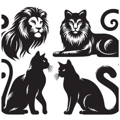 black and white cats