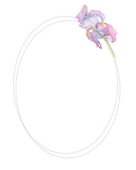 Wreath of purple and pink iris flower. Watercolor illustration isolated on white background. Floral frame concept for design and print. Perfect for greeting cards, invitations and decorations