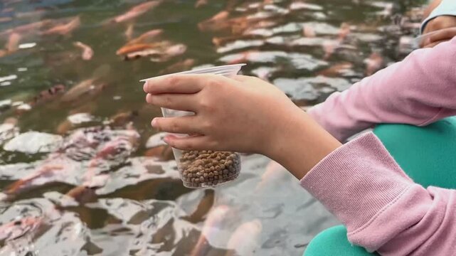 Happy kids playing on the side of river and feeding some fish with some food pellets by hand