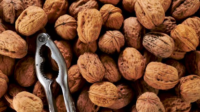 walnut and nutcracker- top view