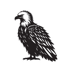 Clean bald eagle silhouette for versatile use - bald eagle illustration - minimallest bald eagle vector
