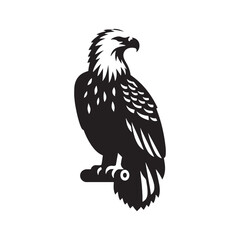 Detailed bald eagle silhouette for digital art - bald eagle illustration - minimallest bald eagle vector
