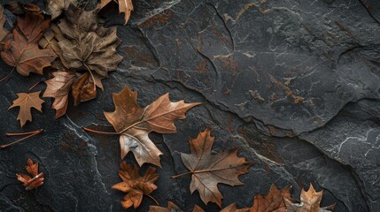 A depiction of aging and seasonal leaves on a dark stone surface