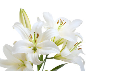 Fototapeta premium White Lily flower bouquet isolated on white background for card and decoration : Generative AI