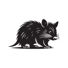 Detailed bandicoot silhouette for web graphics - bandicoot illustration - minimalistic bandicoot vector
